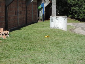 Foto: Marciel Borges