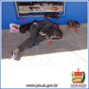 Foto: Polícia Militar