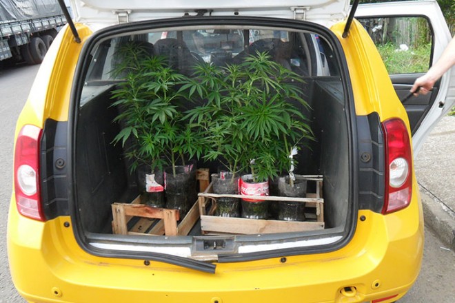 Foto: Policia Militar