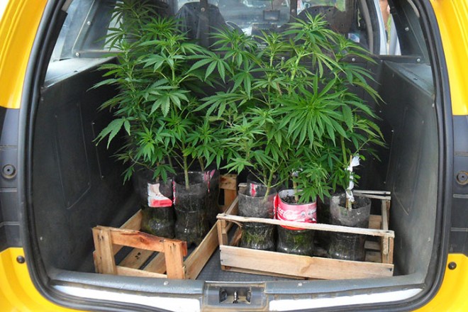 Foto: Policia Militar