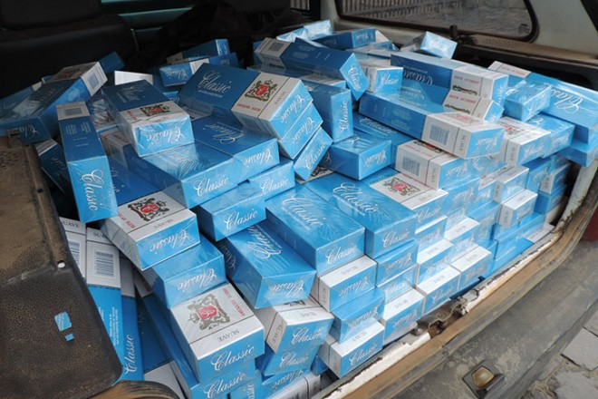 Foto: Gisele Ovitski