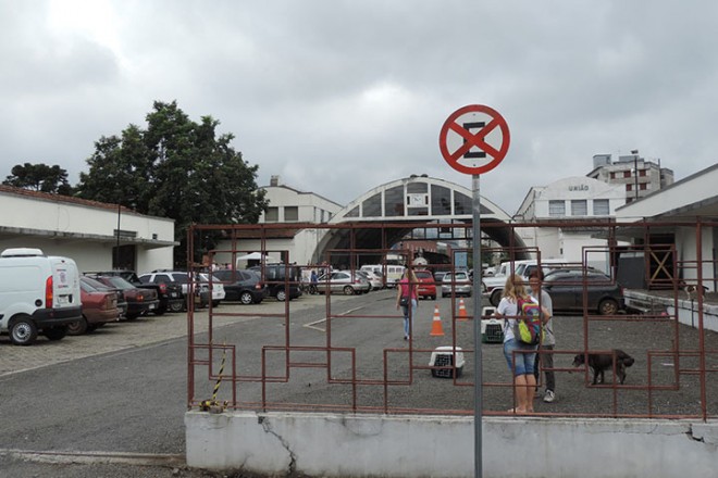 Numa visão ampla do local, os animais estão no lado de Porto União, e o veículo da Prefeitura de União da Vitória do outro lado dos trilhos. Lembrando que os animais deveriam estar no mesmo lado que o veículo da Prefeitura Foto: Marciel Borges/ Rádio Colmeia