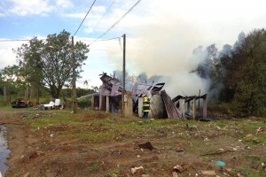 Foto: Tiago Amaral/ Rádio Colmeia