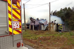 Foto: Tiago Amaral/ Rádio Colmeia