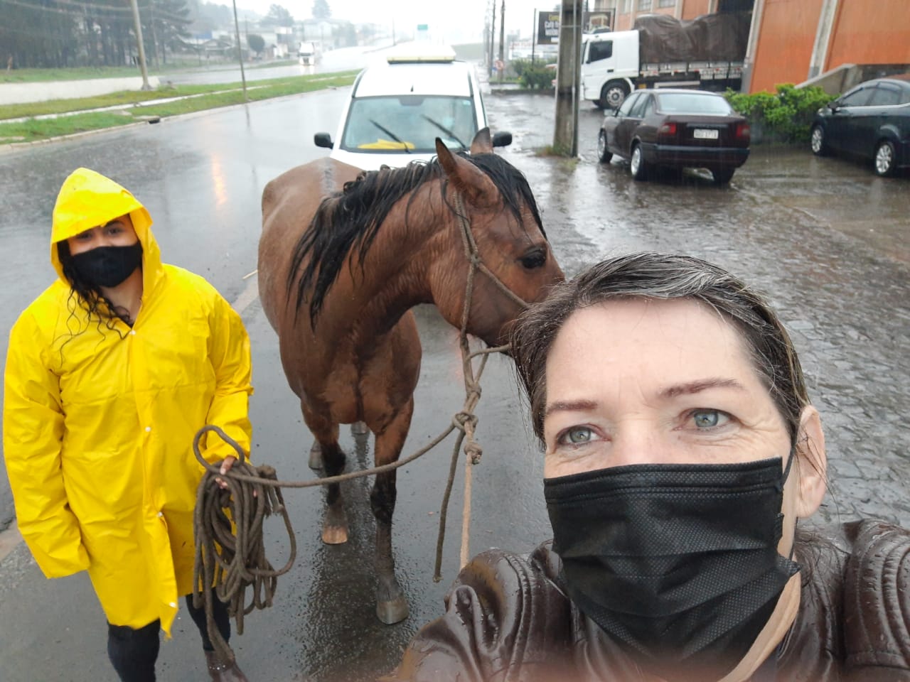 Conheça a Defesa dos 2 Cavalos !! 