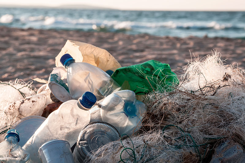 Sesc-PR: Dia Mundial de Limpeza de Rios e Praias é transferido para o  próximo sábado